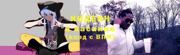 индика Арсеньев