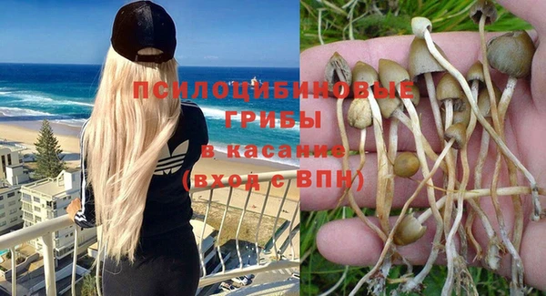амф Аркадак