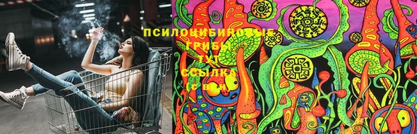 индика Арсеньев