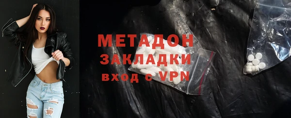 индика Арсеньев