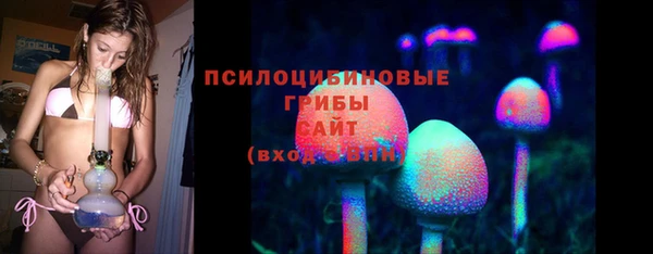 индика Арсеньев