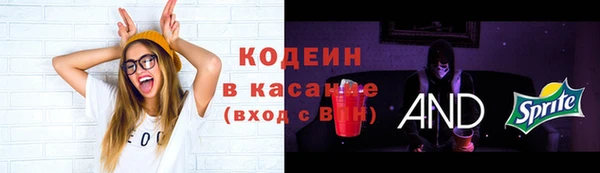 индика Арсеньев