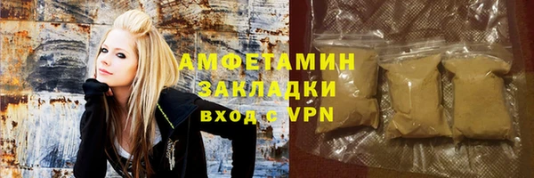 индика Арсеньев