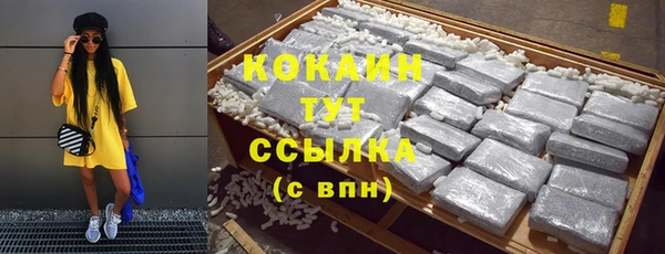 индика Арсеньев