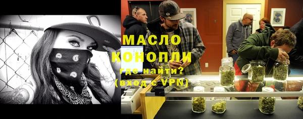 индика Арсеньев