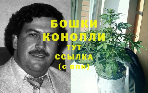 индика Арсеньев